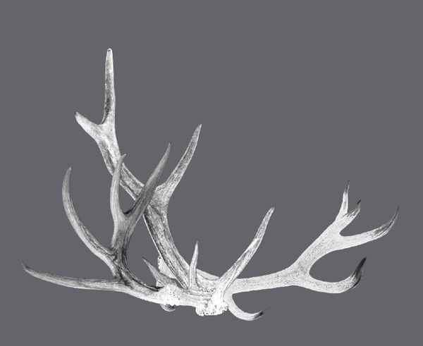 Deer horns - USUAL.ink! - playera personalizada