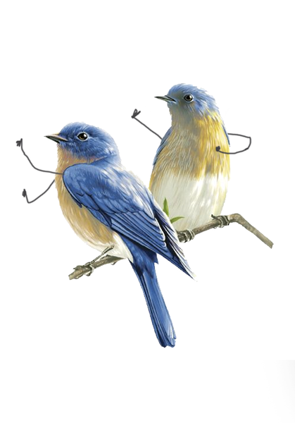 Pajaros de barrio - USUAL.ink! - playera personalizada