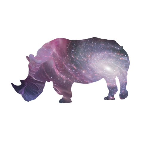 Rhino Galactic - USUAL.ink! - playera personalizada