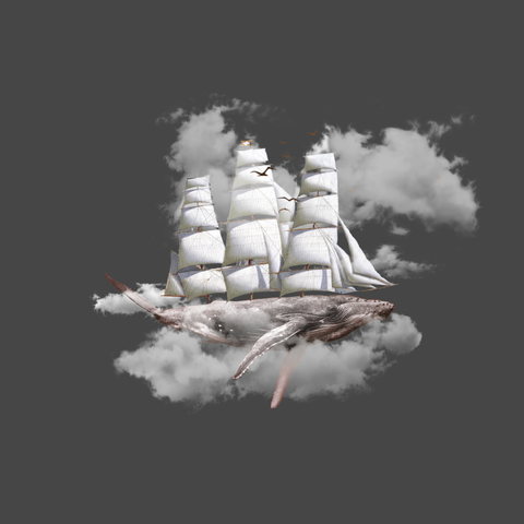 Sail a whale - USUAL.ink! - playera personalizada