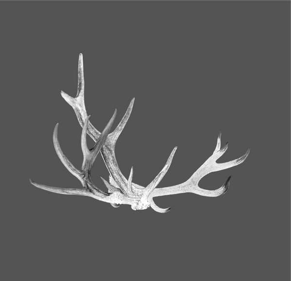 Deer horns - USUAL.ink! - playera personalizada