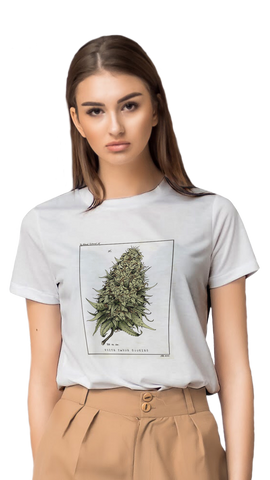 playera personalizada, impresion de playera,  diseño de playeras
