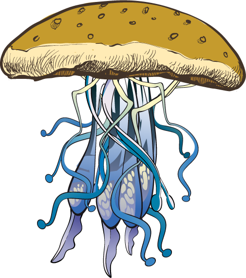 Jelly Burger - USUAL.ink! - playera personalizada