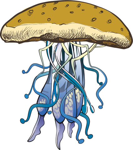 Jelly Burger - USUAL.ink! - playera personalizada